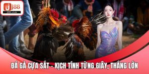 Đá gà cựa sắt