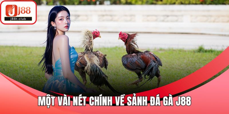 Một vài nét chính về sảnh đá gà J88