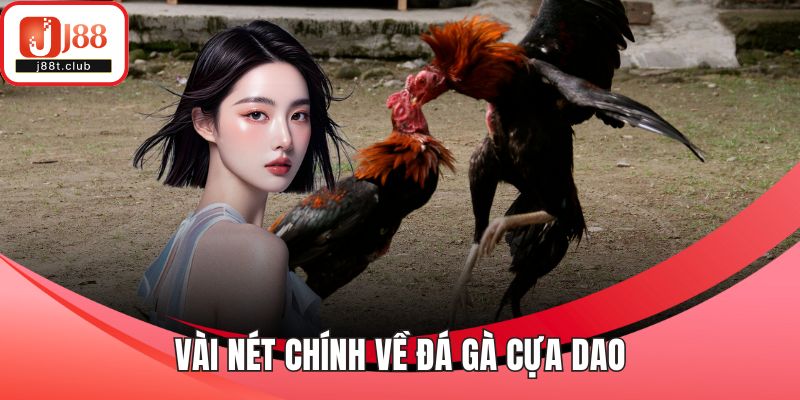 Vài nét chính về đá gà cựa dao